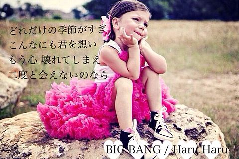 BIG BANG / Haru Haruの画像(プリ画像)