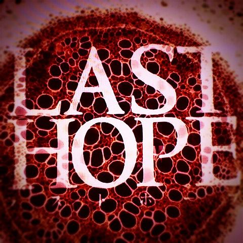 LAST HOPE…の画像(プリ画像)