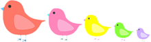 5色の鳥の画像(５色に関連した画像)