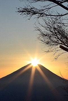 夕日の画像(プリ画像)