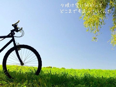 夕焼けと恋と自転車の画像(プリ画像)