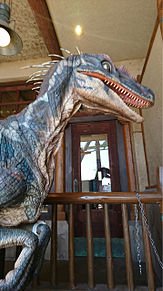 恐竜 ユニバーサルスタジオジャパン USJ ジュラシックパークの画像(オジャに関連した画像)