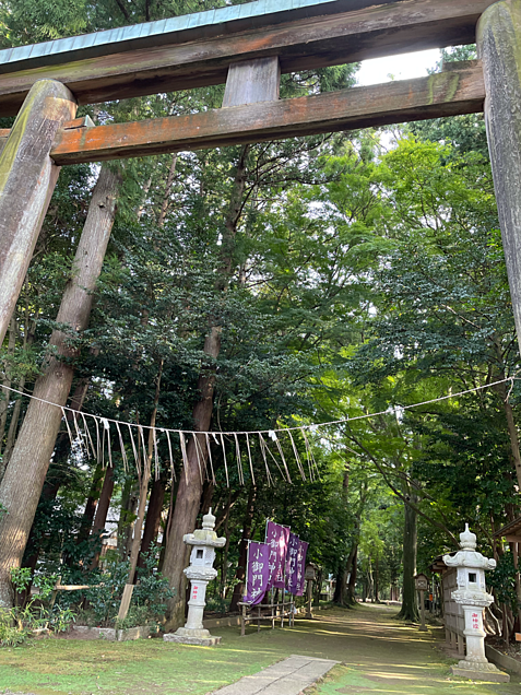 小御門神社　千葉県の画像(プリ画像)