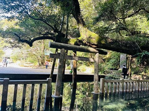 鹿島神宮　水に囲まれた鳥居の画像(プリ画像)