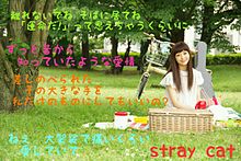 stray cat / Every Little Thing プリ画像