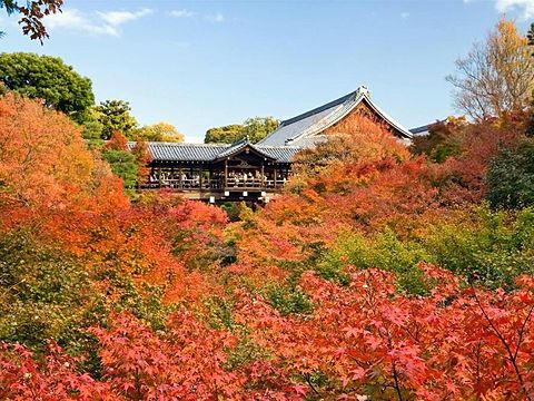 日本の美しい景色 東福寺の画像 プリ画像