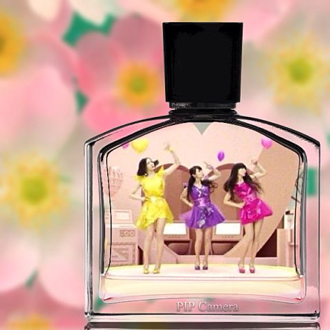 perfumeの画像(プリ画像)