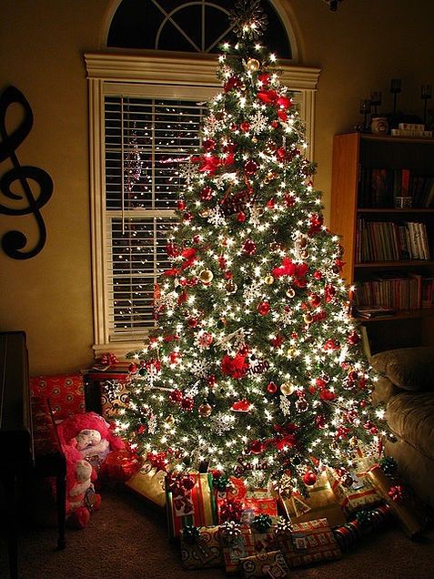 christmas treeの画像 プリ画像
