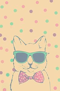 サングラス 壁紙 猫の画像4点 完全無料画像検索のプリ画像 Bygmo