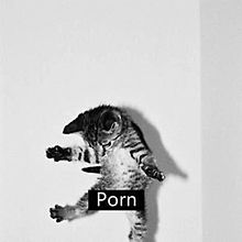 PORNの画像(pornに関連した画像)