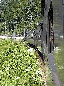 大井川鐵道の画像(大井川に関連した画像)