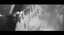 FLOWER FLOWER ニューアルバム 発売日決定！の画像(YUIに関連した画像)