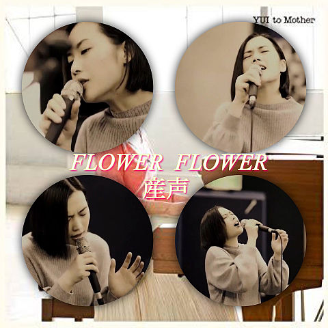 FLOWER FLOWER yuiの画像 プリ画像