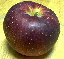 おもしろ 紫 リンゴの画像1点 完全無料画像検索のプリ画像 Bygmo