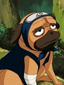 Naruto 忍犬の画像15点 2ページ目 完全無料画像検索のプリ画像 Bygmo