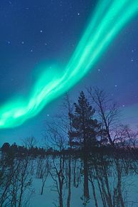 auroraの画像(ｵｰﾛﾗ 夜空に関連した画像)