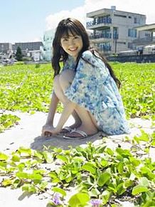 AKB48 小嶋陽菜こじはるこじぱにゃんにゃんの画像(はるこ。に関連した画像)