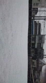 雪  大阪  テニスコート 一面  真っ白 景色 雪景色の画像(プリ画像)