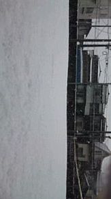 雪  大阪  テニスコート 一面  真っ白 景色 雪景色 プリ画像