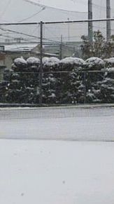 雪景色 大阪 テニスコート 真っ白 一面 プリ画像