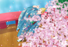 桜の画像(はがいらに関連した画像)