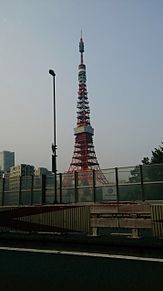 東京タワー プリ画像
