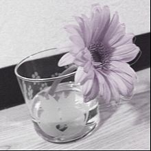 おしゃれ 素材 紫 花の画像107点 完全無料画像検索のプリ画像 Bygmo