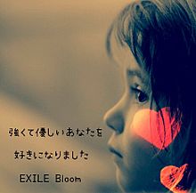 EXILE Bloomの画像(BLOOMに関連した画像)