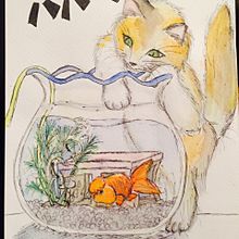 猫 金魚鉢の画像3点 完全無料画像検索のプリ画像 Bygmo