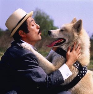 秋田犬の画像(プリ画像)