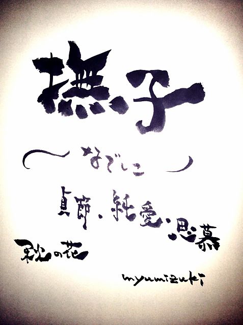 撫子〜＊秋の花の画像(プリ画像)