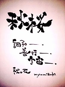 秋桜〜コスモスの画像(秋の花、花、秋、手書きに関連した画像)