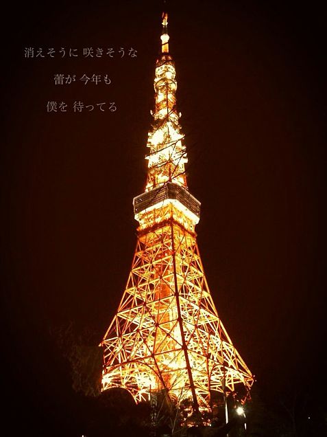 東京タワーの画像 プリ画像