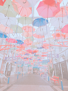 傘 綺麗の画像446点 完全無料画像検索のプリ画像 Bygmo