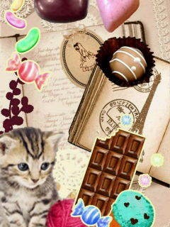 チョコと猫の画像(プリ画像)