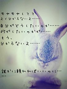 モヤモヤポエム  兎の画像(モヤモヤに関連した画像)