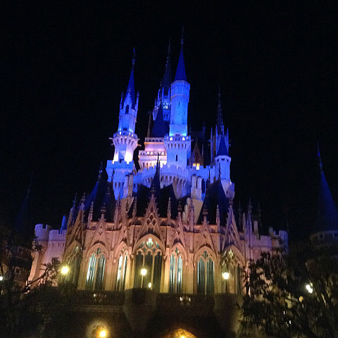 Tokyo Disney Land の画像 プリ画像