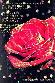 情熱の薔薇 プリ画像
