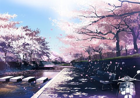 Row of cherry blossom treesの画像 プリ画像