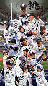 プロ野球 壁紙 阪神タイガースの画像11点 完全無料画像検索のプリ画像