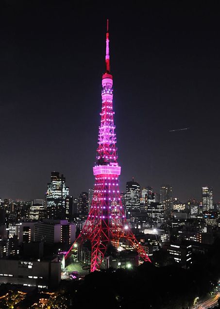 ピンク色の東京タワー 完全無料画像検索のプリ画像 Bygmo