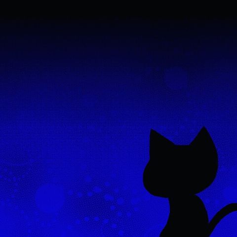 黒猫の画像(プリ画像)