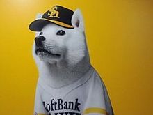 SoftBank 犬 プリ画像