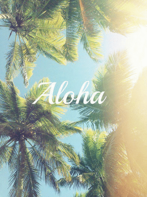 aloha Hawaiiの画像 プリ画像