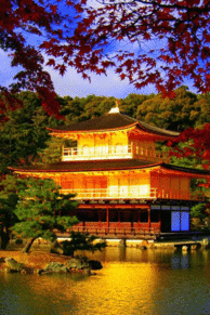 京都 紅葉 壁紙の画像6点 完全無料画像検索のプリ画像 Bygmo