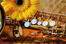 saxophoneの画像(サクソフォンに関連した画像)