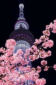 夜景 壁紙 東京の画像16点 完全無料画像検索のプリ画像 Bygmo