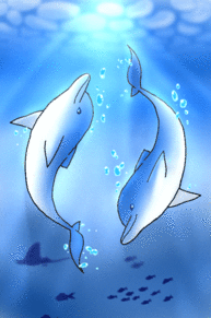 イラスト 海豚の画像2点 完全無料画像検索のプリ画像 Bygmo