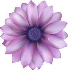 紫の花 背景透明の画像1点 完全無料画像検索のプリ画像 Bygmo