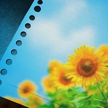 ルーズリーフ｢向日葵｣の画像(ポエム素材/ノート素材に関連した画像)